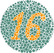 Number 16