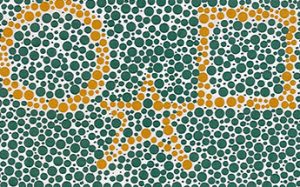 Color Vision Testing Made Easy demonstration card