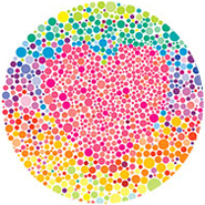 Color Vision Testing