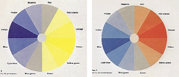 Points of view: Color blindness